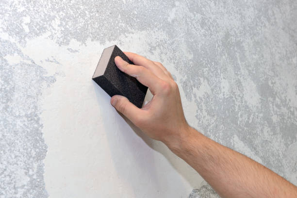 Best Post-Construction Mold Inspection  in Burbank, IL