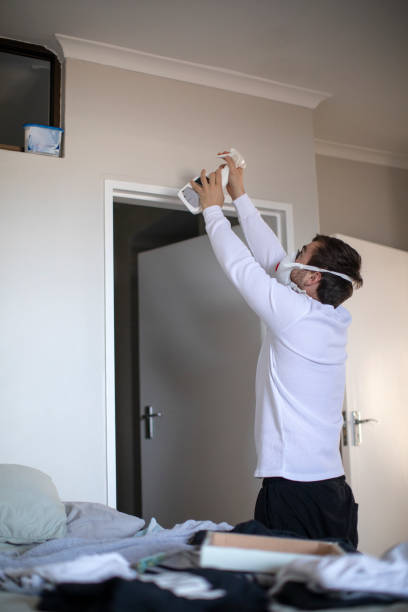 Best Industrial Mold Remediation  in Burbank, IL