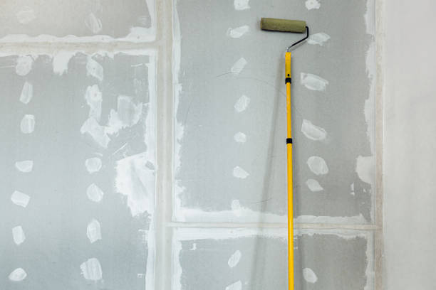 Best Residential Mold Inspection & Testing  in Burbank, IL
