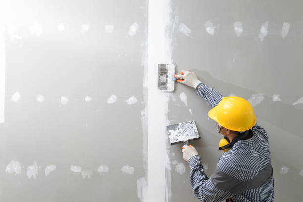 Mold Documentation for Insurance Claims in Burbank, IL