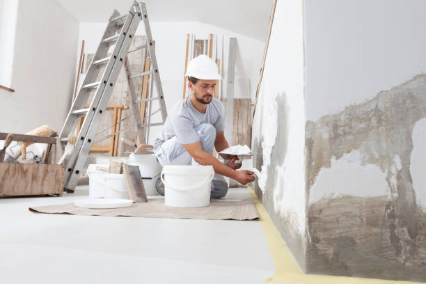 Professional Mold Removal in Burbank, IL