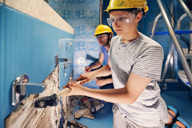 Best Mold Odor Removal Services  in Burbank, IL