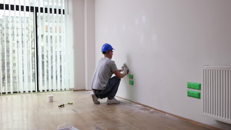 Best Basement Mold Removal  in Burbank, IL