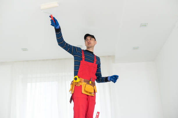 Best Real Estate Mold Inspection  in Burbank, IL