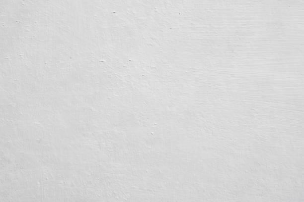 Best Mold Damage Restoration  in Burbank, IL