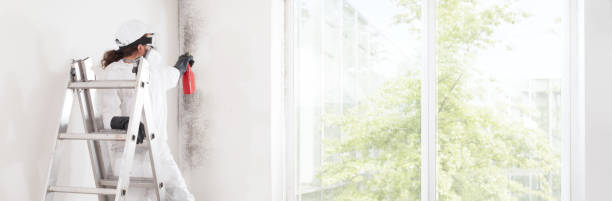 Best Air Quality Testing for Mold Spores  in Burbank, IL